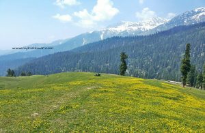 tehsil Chattroo