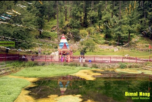 Bimal-Naag-saroor-drabshalla
