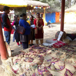 People visiting the Stalls in Surajkund Mela 2020 where Handicrafts are on display