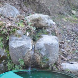 Archaeological Sites at Bimar Naag Kishtwar