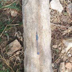 Nozzle discoered at Bun Kuleed