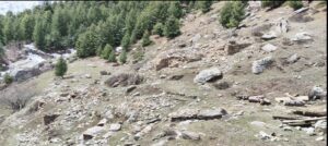 Ruins of Lost Buddhist Monastery